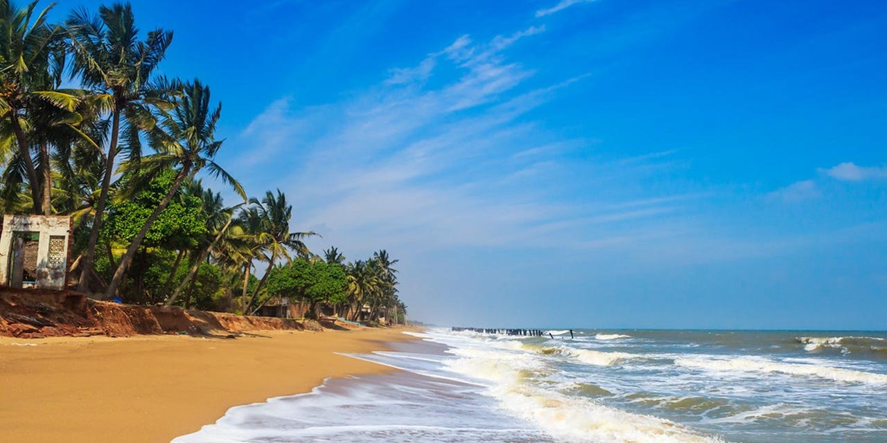 Promenade Beach walkway with palm trees and ocean view